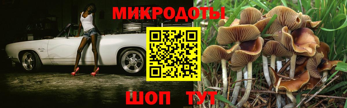 Архангельск  Галлюциногенные грибы мухоморы  Вход с VPN 